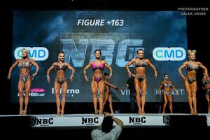 FIGURE +163